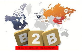 駐馬店新聞網(wǎng)代開會員 長春網(wǎng)絡(luò)公司